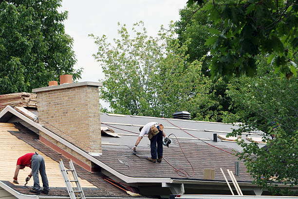Best Roof Maintenance and Cleaning  in Chehalis, WA